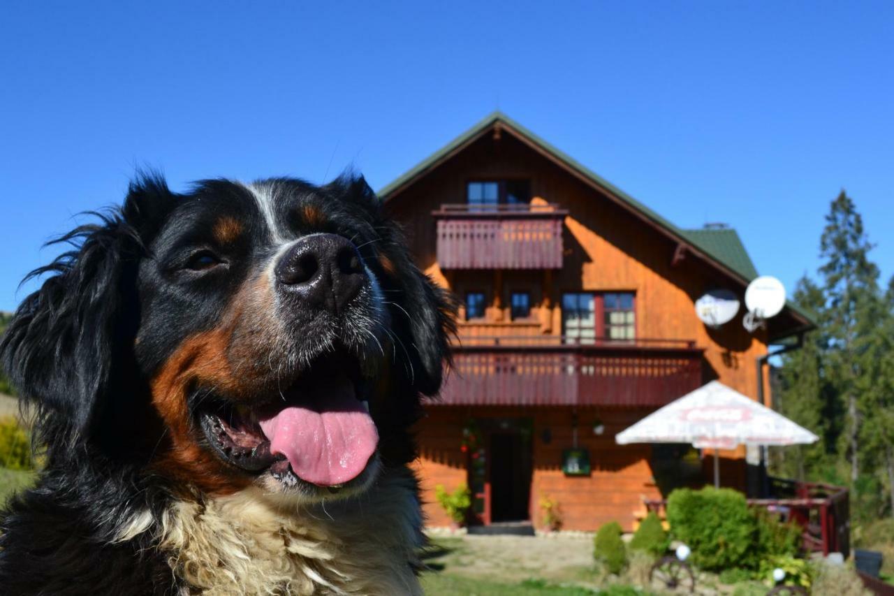Penzión Dinda Stara Lubovna Exterior foto